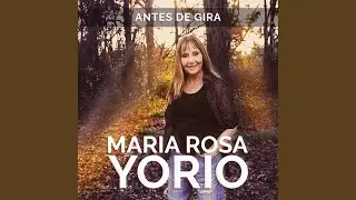 Antes De Gira
