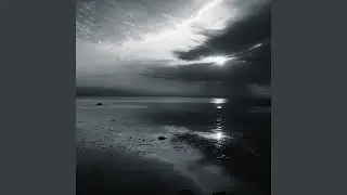 SHE WILL (Instrumental)