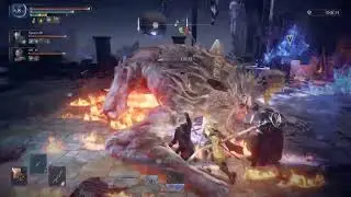 ナイトレイン レディ レディのスタミナだと光輪祈祷つらい