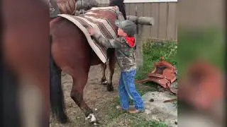 Buster consigned to the Top Gun Horse Sale Fall Roundup 2020