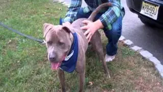 WDHA's Rock n Ruff with Jake