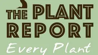 Native Plants of the Appalachian Woodlands