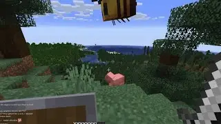 Oliver discovers the bee