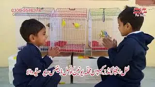 Little Anjels Kids Campus || Ads Lagan