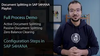 SAP Document Splitting Overview: Financial Reporting on Business Segments