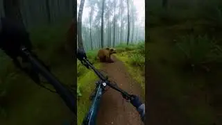 WHAT?!🤯 Epic dance fail caught on cam #funny #viral #dance