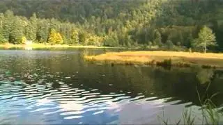 Randonn&eacute;e dans les Vosges (Lac de Blanchemer)