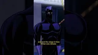 BLACK ZEBRA