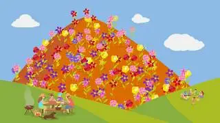 Mingenew Wildflower Season