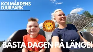 VI RÖJER PÅ KOLMÅRDEN! | Del 2 VLOGG
