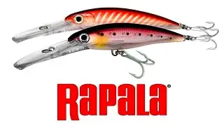 RAPALA ISTRUZIONI D'USO E MODELLI #video #news #fishing #fish #fishingvideo #rapala #rapalalures