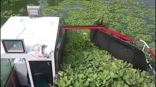 Julong Hydraulic Full Automatic Water Hyacinth Harvester @JulongDredgerOscar