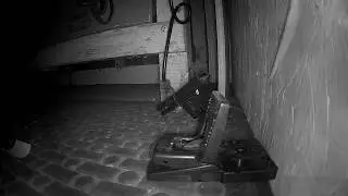 Jawz Mouse Trap In Action