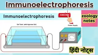 #Immunoelectrophoresis/ MSc zoology 2nd semester/ Hindi notes/