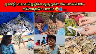 நண்டு வலைதெறிக்க ஒரு நாள் சம்பளம் 2000/=எல்லாருமே பாவம் 🥺🫂.../PKR family/tamil vlogs 