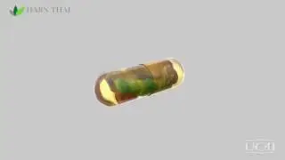UCII Undenatured Collagen Type 2 ภาษาไทย