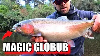 Migrating Trout Love this Globug  |  [Fly Fishing]