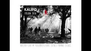 Kalipo live @ Fusion Festival 2018 / Panne Eichel (Bachstelzen)
