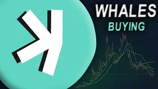 Цена на Kaspa упала до 2,50 долларов?! 🚀 Акции крупных инвесторов упали на 50%, но они ВСЕ ЕЩЕ по...