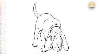 Bloodhound dog drawings | Pet animal sketches | How to draw A Bloodhound step by step | #artjanag