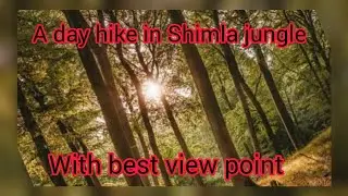 Taradevi Mandir trek|Shiva temple|Day Hike in Shimla Dense Jungle