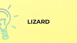 What is the meaning of the word LIZARD?