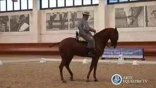 AAEE ITALIA - CAMPIONATO ITALIANO DOMA VAQUERA E COPPA ITALIA - 5&deg; TAPPA - MARCO COCOZZA