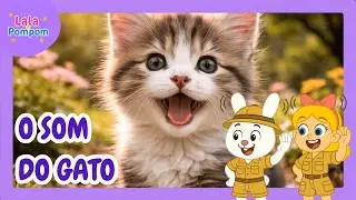 O Som do Gato 🐱 | Lala e Pompom