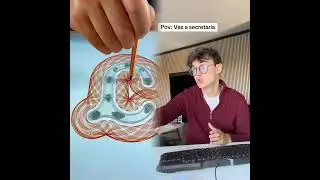 TODAS LAS SECRETARIAS