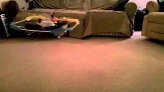 GAUI 330X Quadcopter Overview