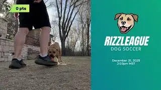 2-Min Dog Soccer | RizzLeague Points Challenge | Dec 31, 2025