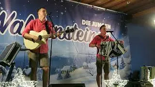 Die jungen Waldensteiner - Im Wirtshaus is heut lustig (Mia wissn's eh)