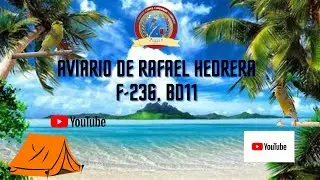 AVIARIO RAFAEL HEDRERA F236, BD11 (1&ordf; PARTE, CRIADERO)