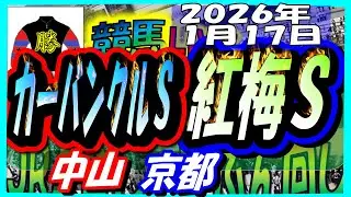 【競馬 JRA全レース予想ライブ】カーバンクルＳ。中山、京都