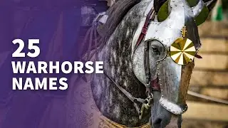 TOP 25 Warhorse Names (Awesome Ideas For Your Battle Horse)