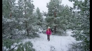 &ndash;20&deg;C Alone in the Frozen Forest ❄️ Solo Winter Camping
