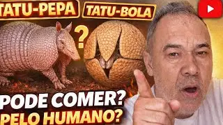 Tatu-bola vs Tatu-peba: A verdade que ningu&eacute;m te conta sobre o consumo!​