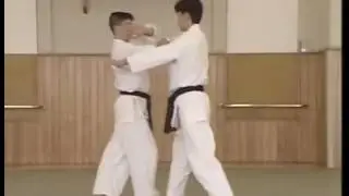 Kata mochi nikajo osae ichi