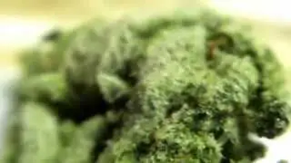 HD-Marijuana: White Russian~ Vid #2