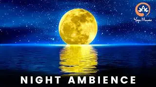 Peaceful Night Ambience with Crickets & Piano | Calm Music for Deep Sleep