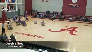 Antoine Gray College Highlights a