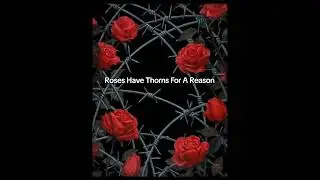 Roses Have Thorns For A Reason 