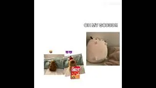 I just wanted if you wanted a cheese it&hellip;&hellip;.