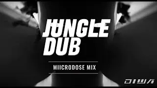 HALFTIME DRUM AND BASS  | JUNGLE DUBWISE  |  MICRODOSE MIX  (Breakage, Skitty, Morphy, Untouchables)