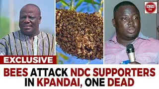 Re-run: Kpandai Gods (Bees) Invade NDC Meeting, Killing One!