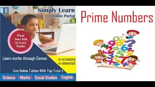 What are Prime Numbers || Basic of Prime Numbers || How to Find Prime Numbers ||