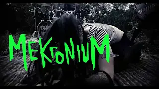 MekroniuM - Happiness