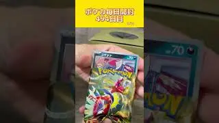 1日2パック開封494日目！