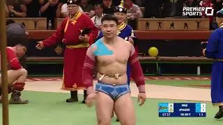 🇲🇳 