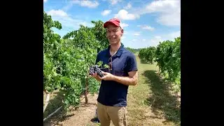 Aug. 2025 - Native Plants and Benefits to Soil Ecosystem Function w/ Dr. Jake Mowrer